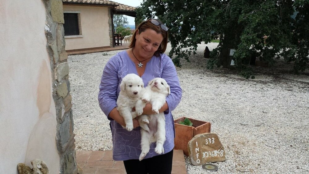 Фото Poggio Al Vento