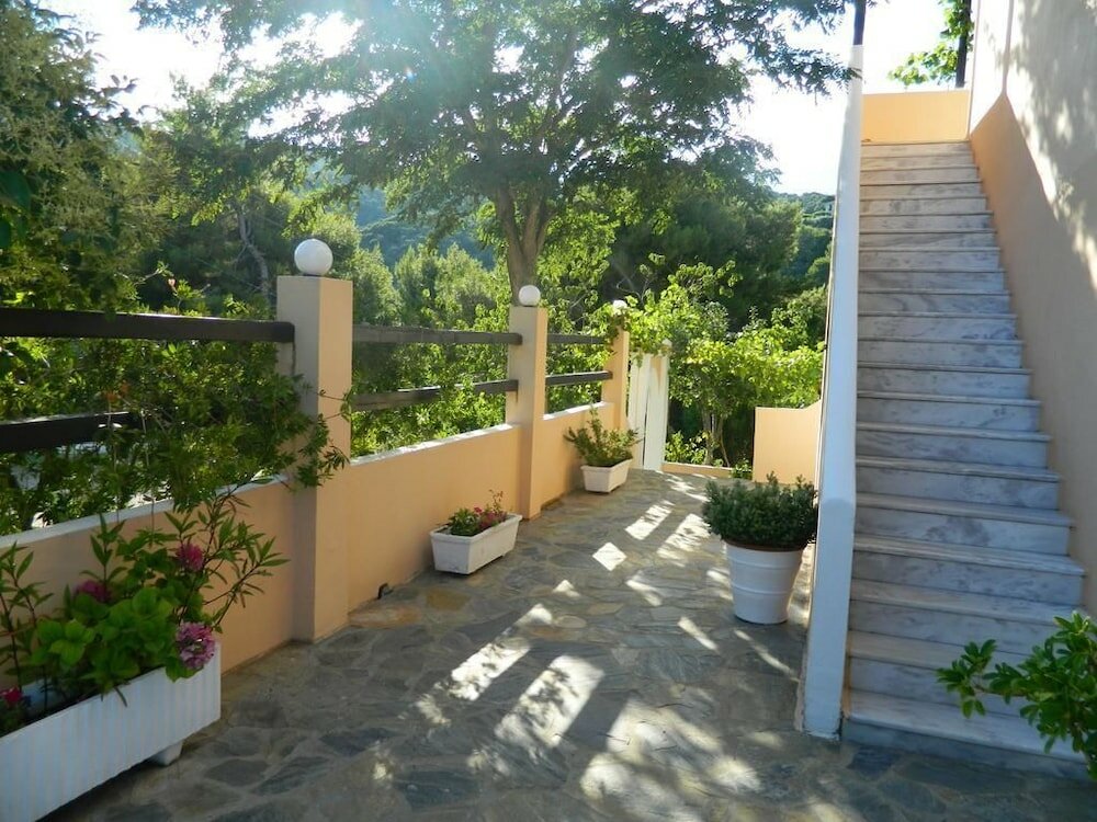 Фото Asteri Studio's