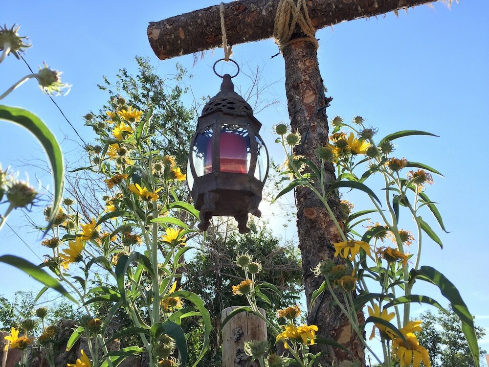 Фото Painted Lady Bed & Brew