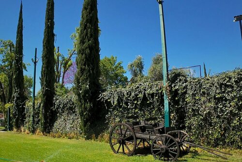 Гостиница Hotel Real del Bosque в Штате Идальго