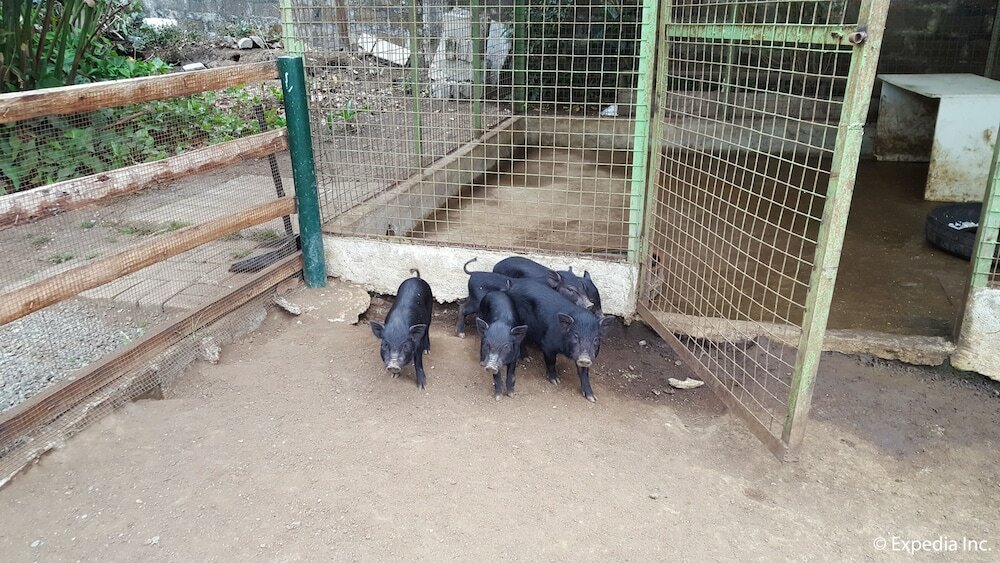 Фото Hotel Kimberly Tagaytay