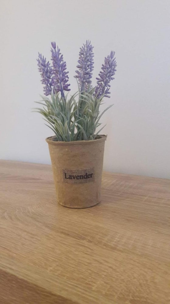 Фото Ginger House