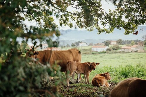 Внешний вид отеля CoolRooms Palacio de Luces Relais & Châteaux в Колунге, фото 5