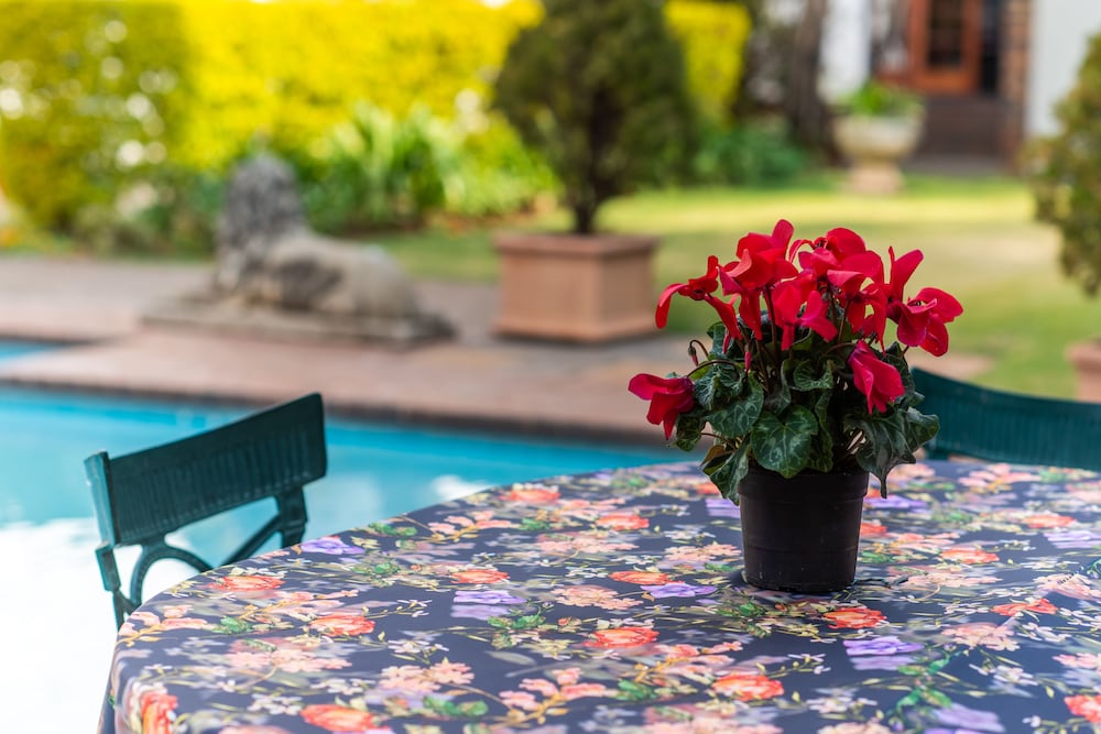 Фото 5th Avenue Gooseberry Guest House