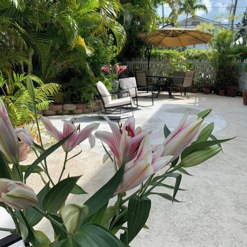 Внешний вид отеля Heron House Court - Adult Only в Ки-Уэсте, фото 5