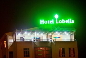 Гостиница Hotel Lobelia