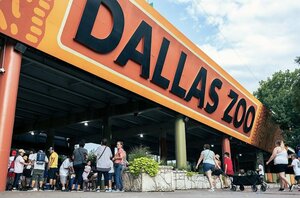 Гостиница Crowne Plaza Dallas Downtown