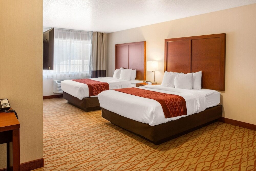 Фото Comfort Inn Mount Shasta Area