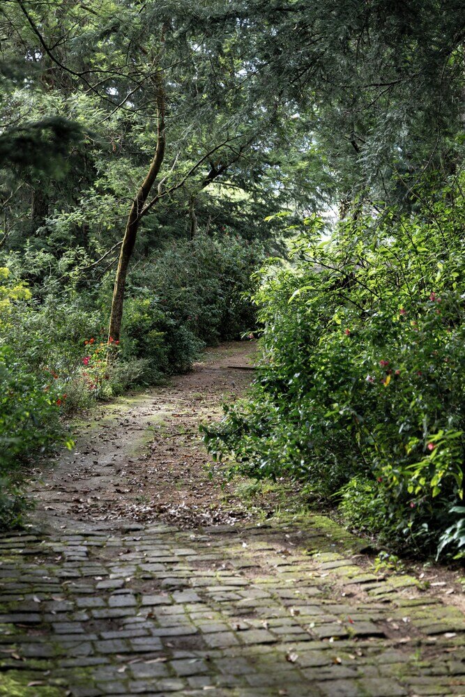 Фото Ferncliff Bungalow