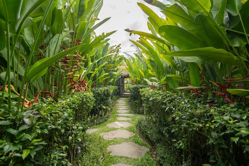 Фото Ubud Art Resort
