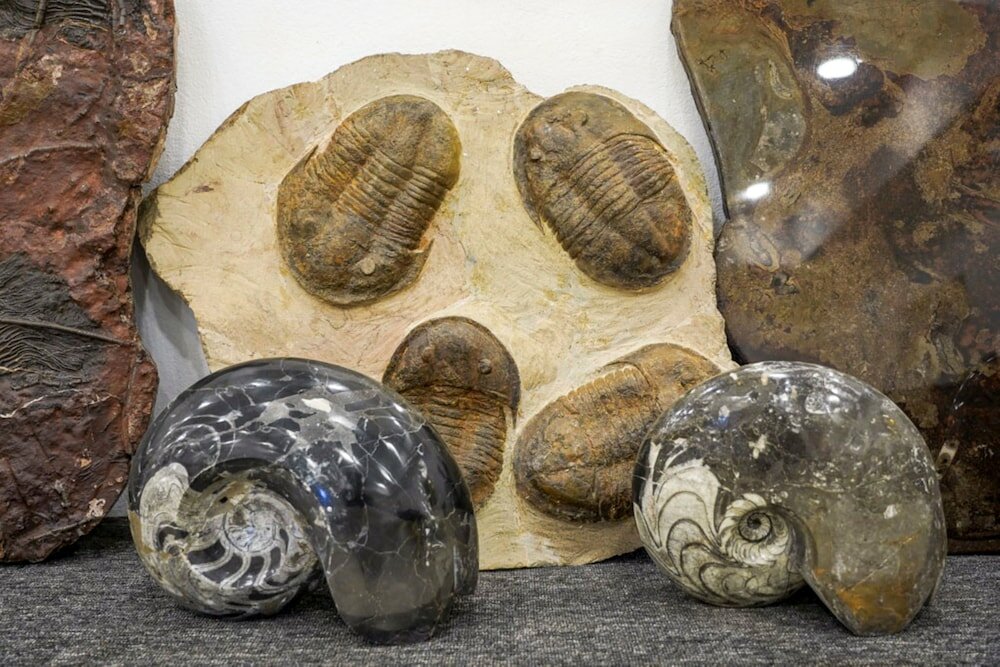 Фото Кемпинг Yakout Merzoga Luxury Camp