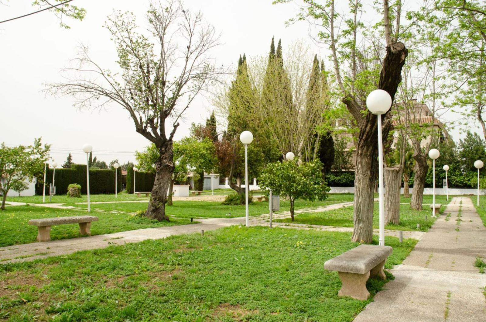 Фото 136578375361