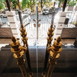 Фото Монарх