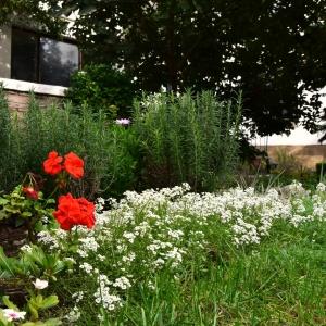 Фото Гостевой дом K&t