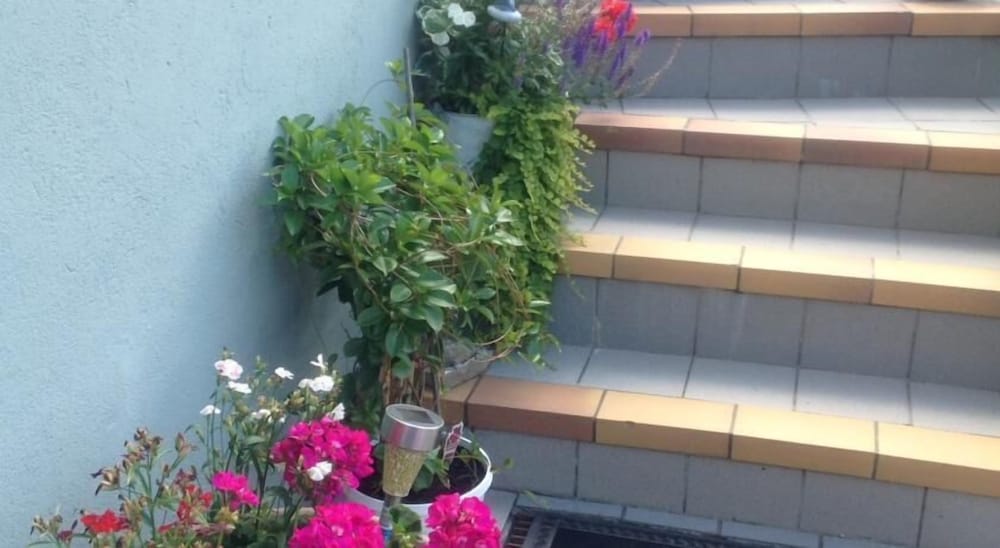 Фото Vivans Bed & Self catering