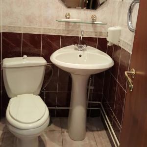 Фото Академическая