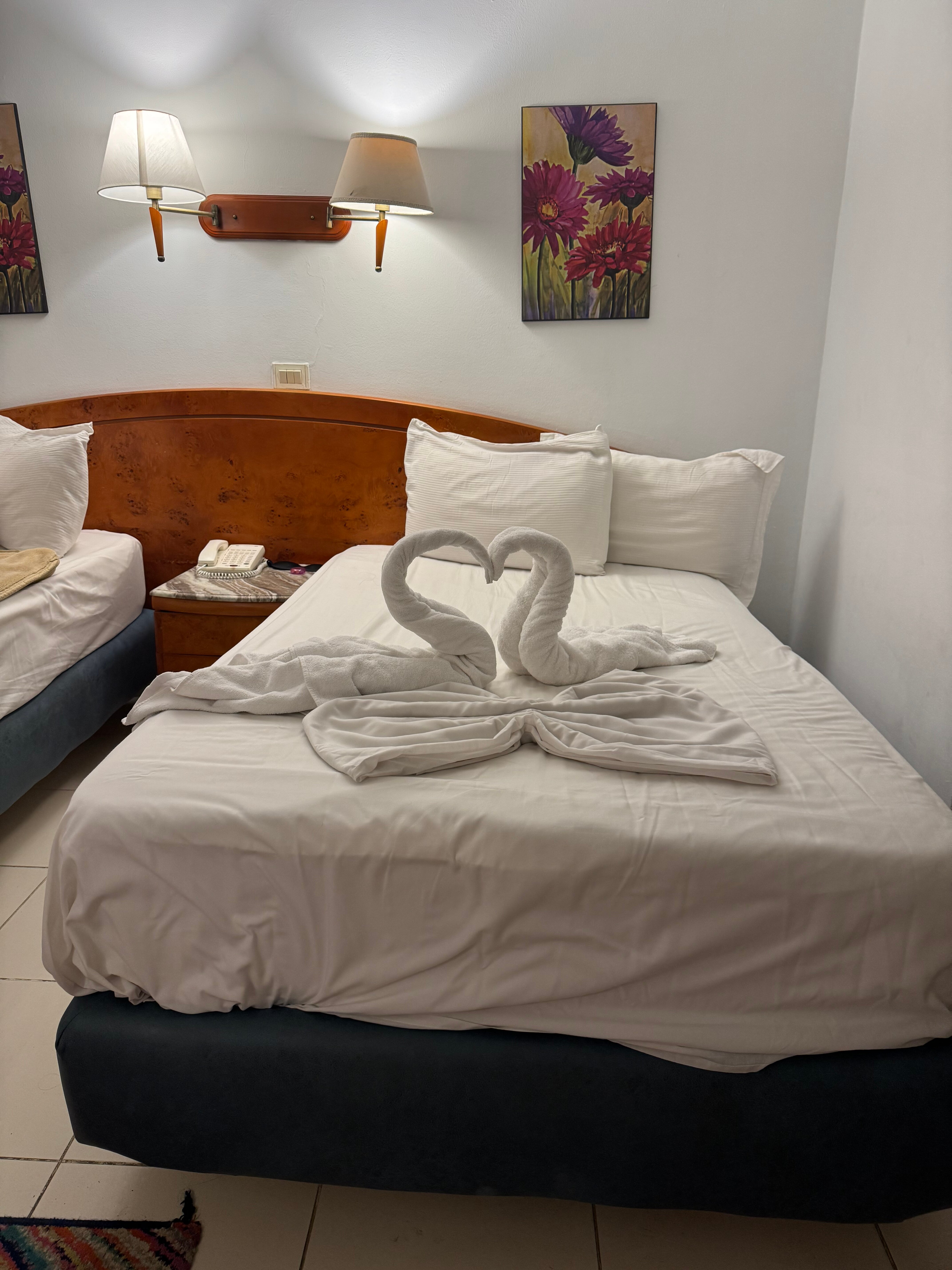 Фото Gafy Resort