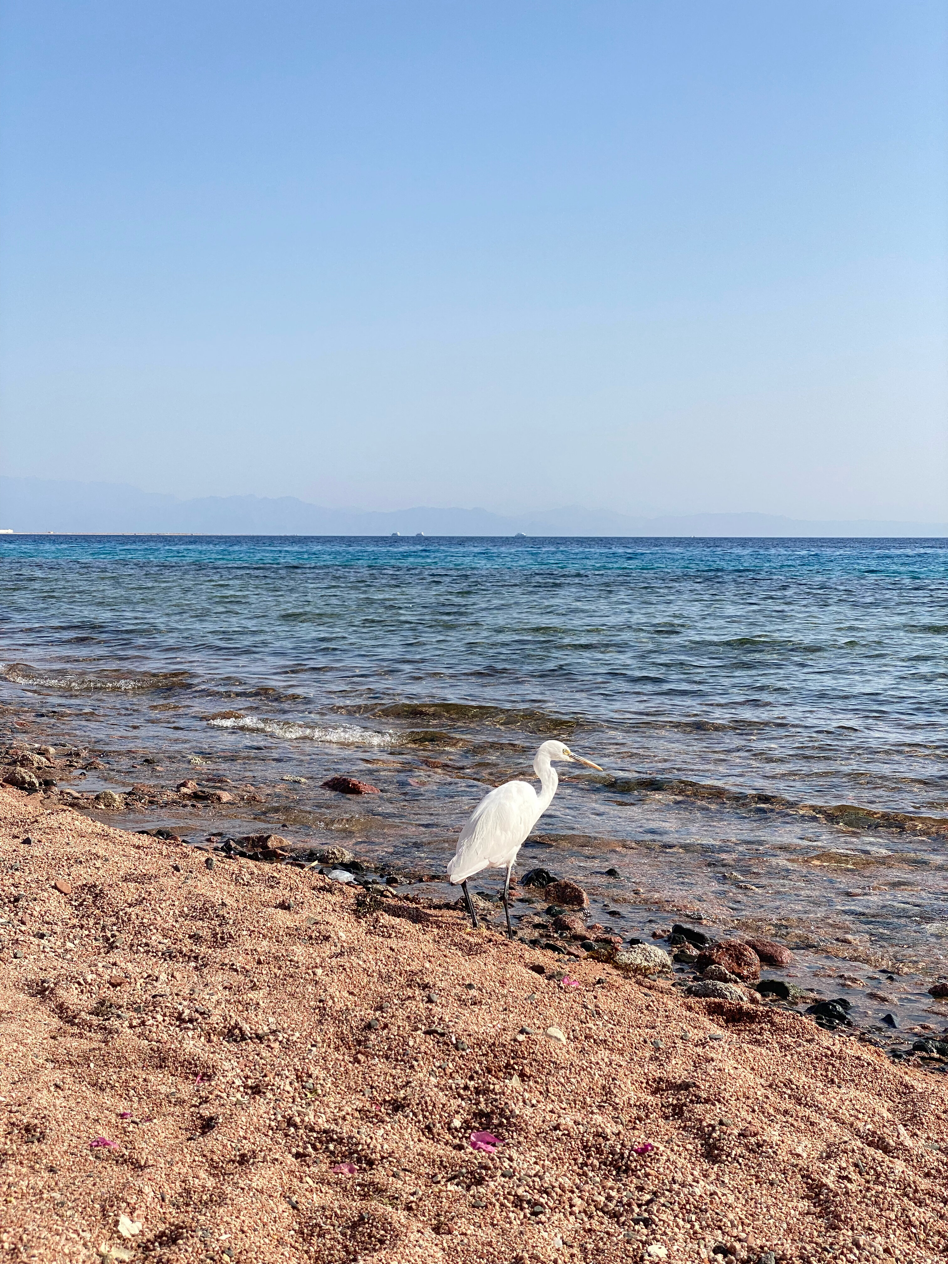 Фото Ecotel Dahab Bay View Resort