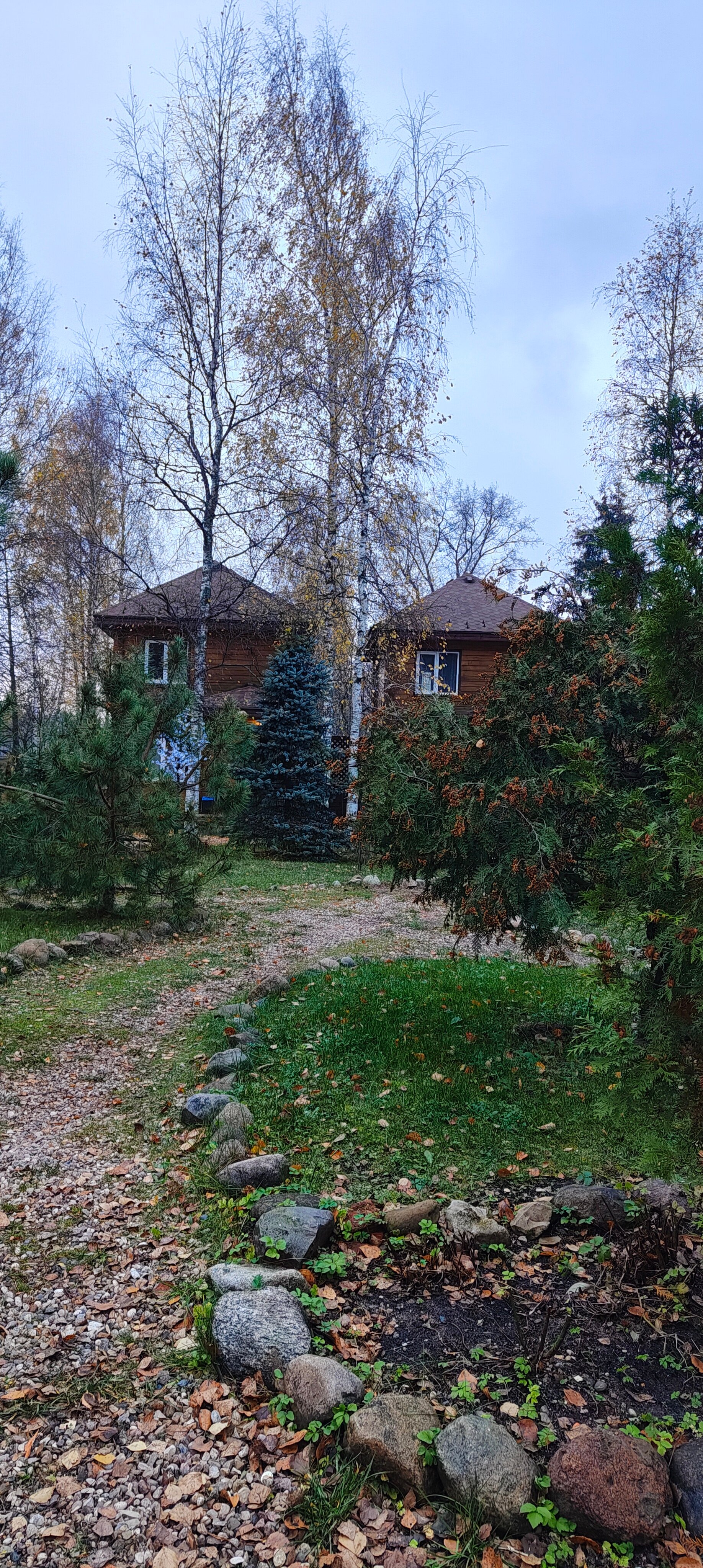 Фото Селигерский бережок