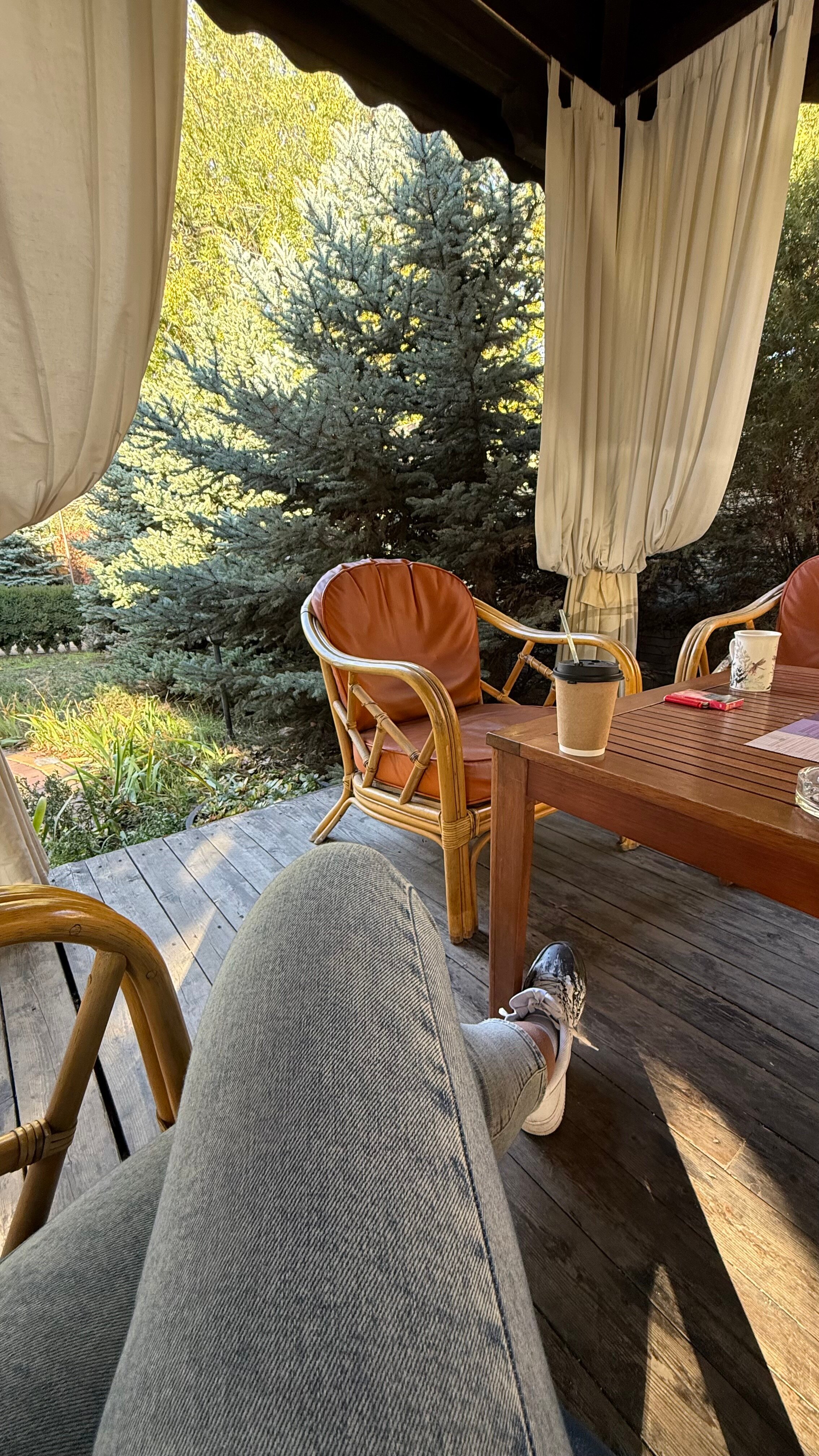 Фото Династия