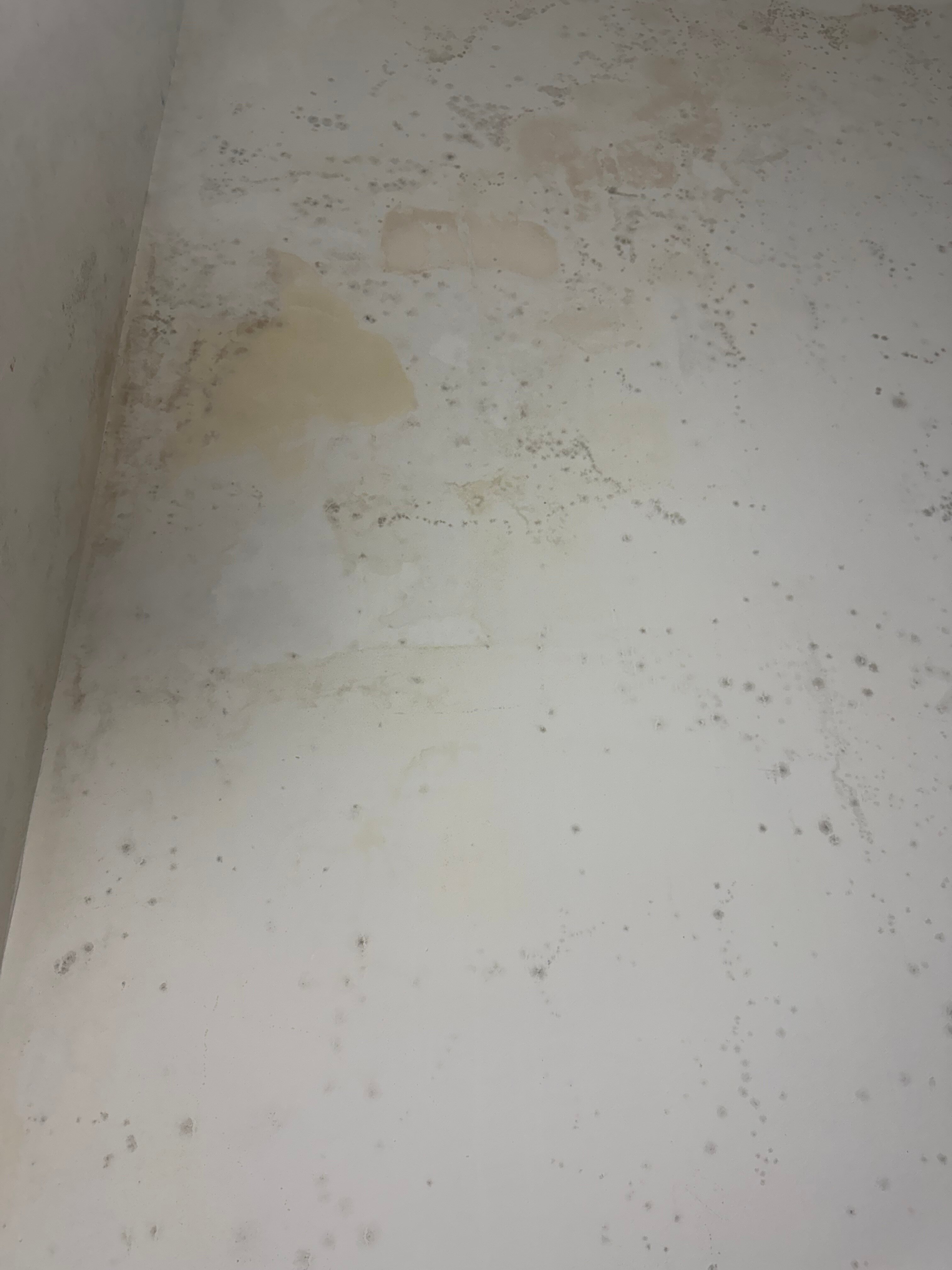 Фото Hermes Hotel Nha Trang