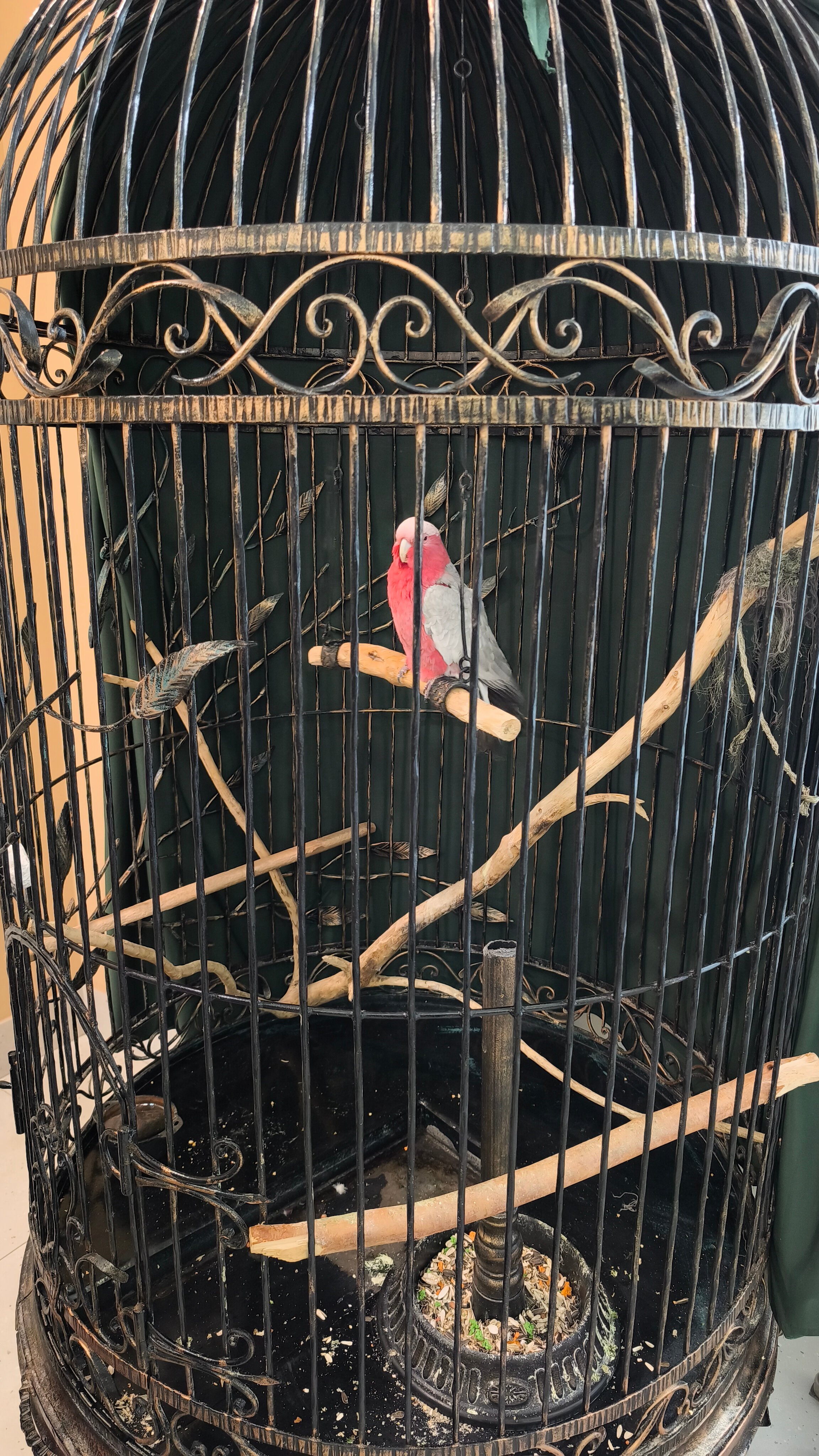 Фото ЭкоДом Адлер