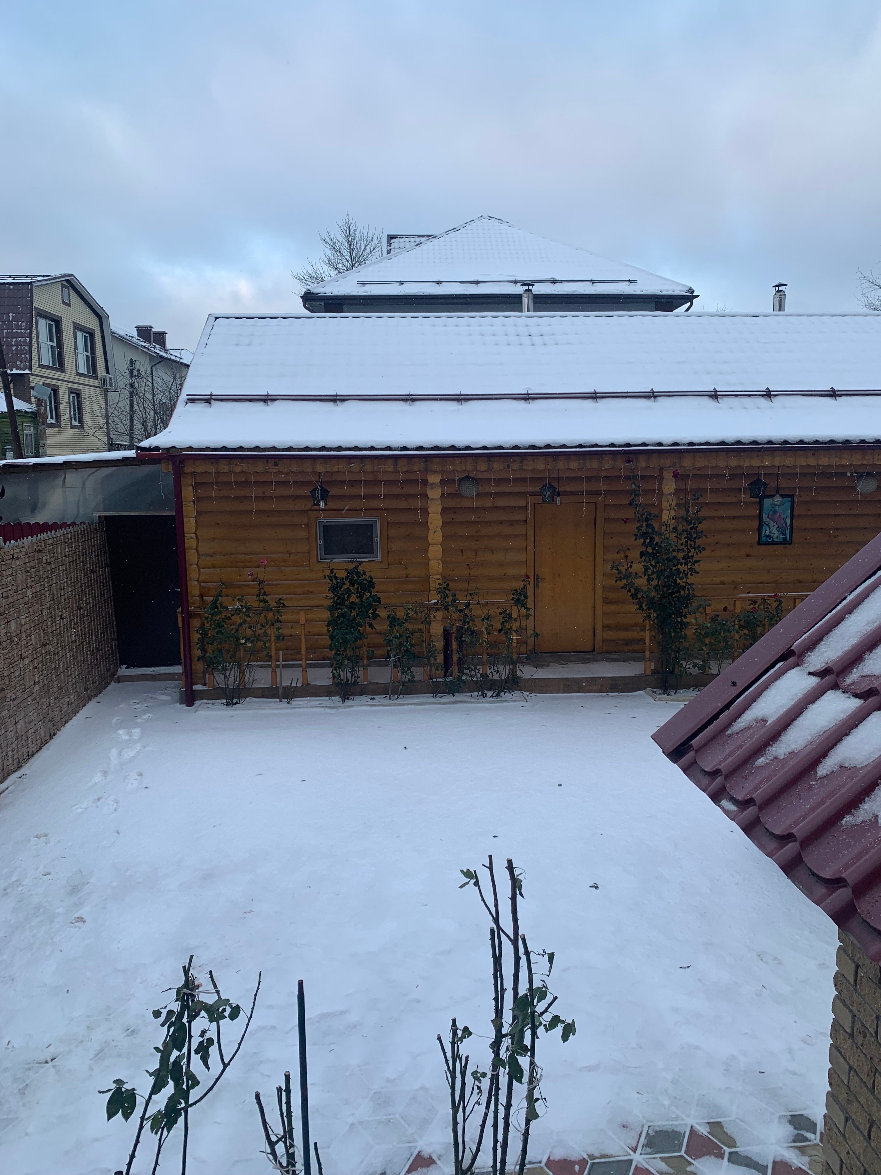 Фото Династия