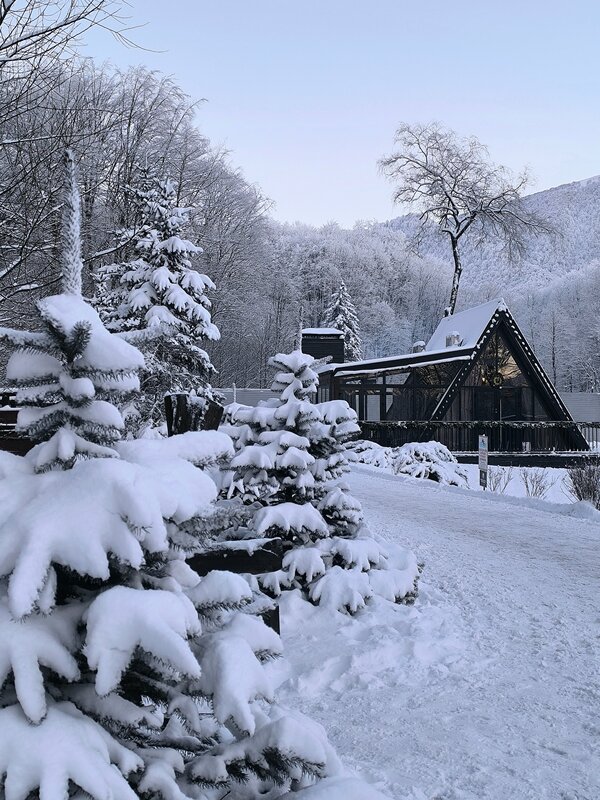 Альпина парк — фото 4
