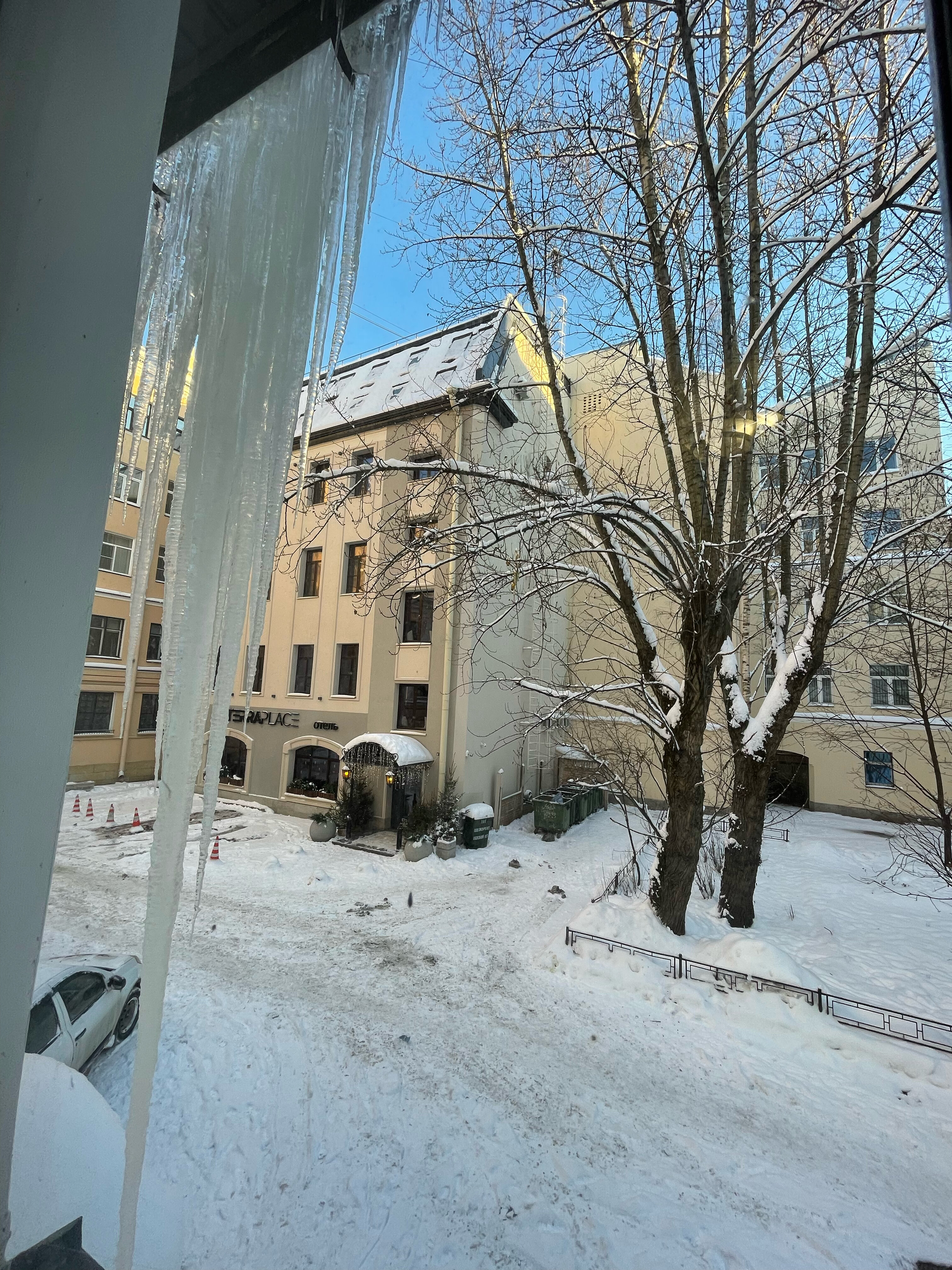 Фото Simple Эдельвейс