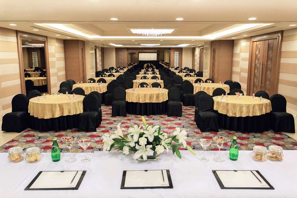 Фото Radisson Udaipur