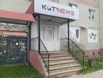 Кот News (ulitsa Nevskogo, 5), mass media office