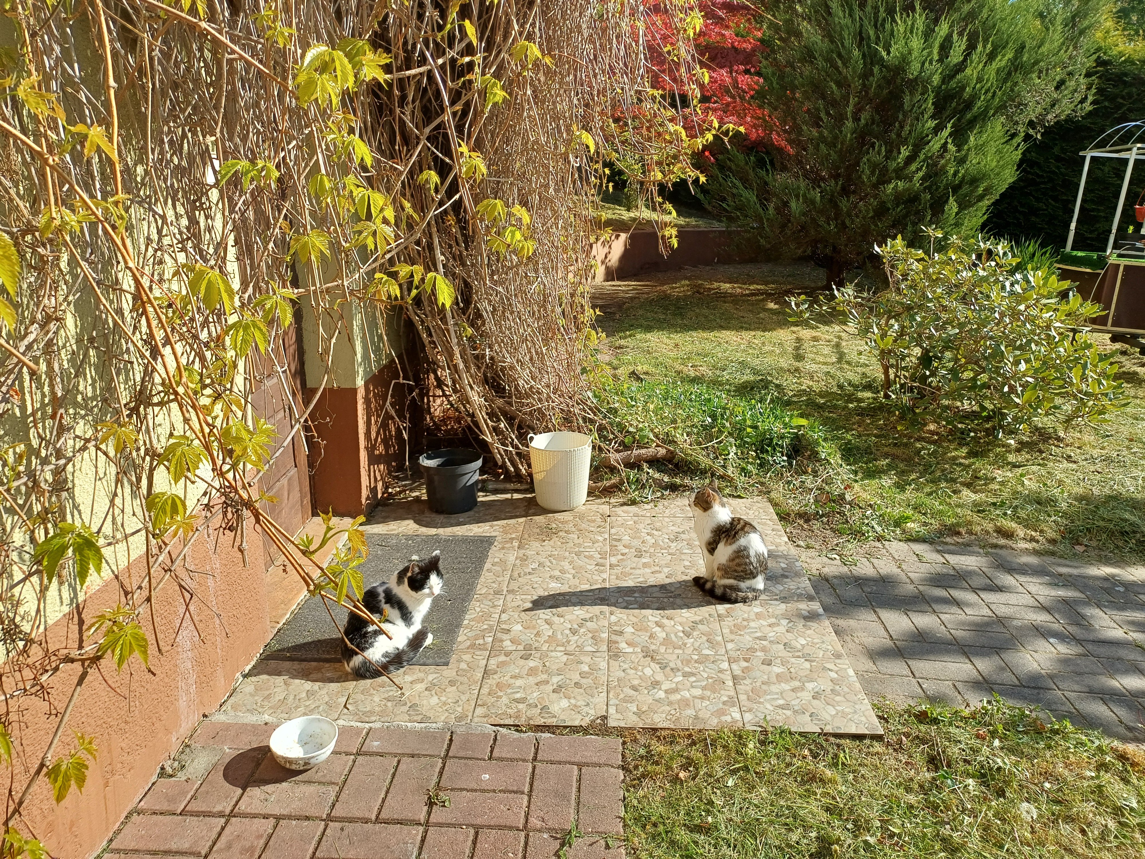 Фото Балтик Спорт