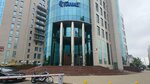 Web marketing (Klary Cetkin Street, 51) ، تكنولوجيا المعلومات (it)