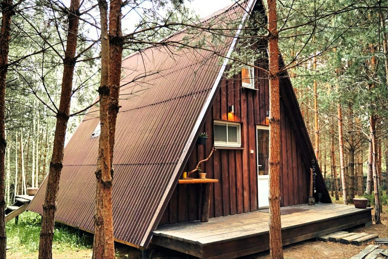 Фото О, Дни в Лесу