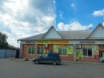 Мини маркет Центральный (posyolok Tasheba, Vokzalnaya ulitsa, 95) ، محل بقالة