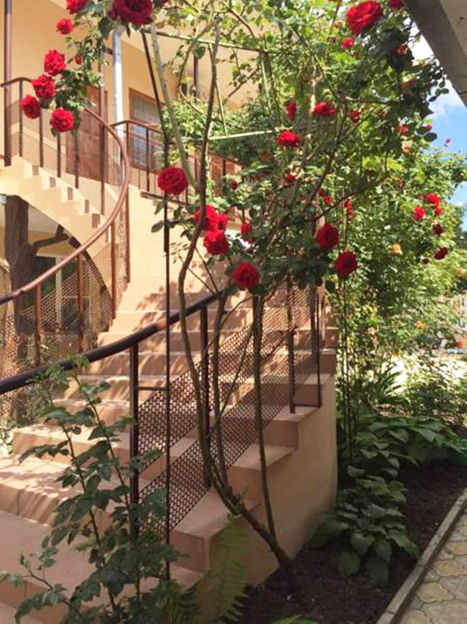 Фото Домик у моря