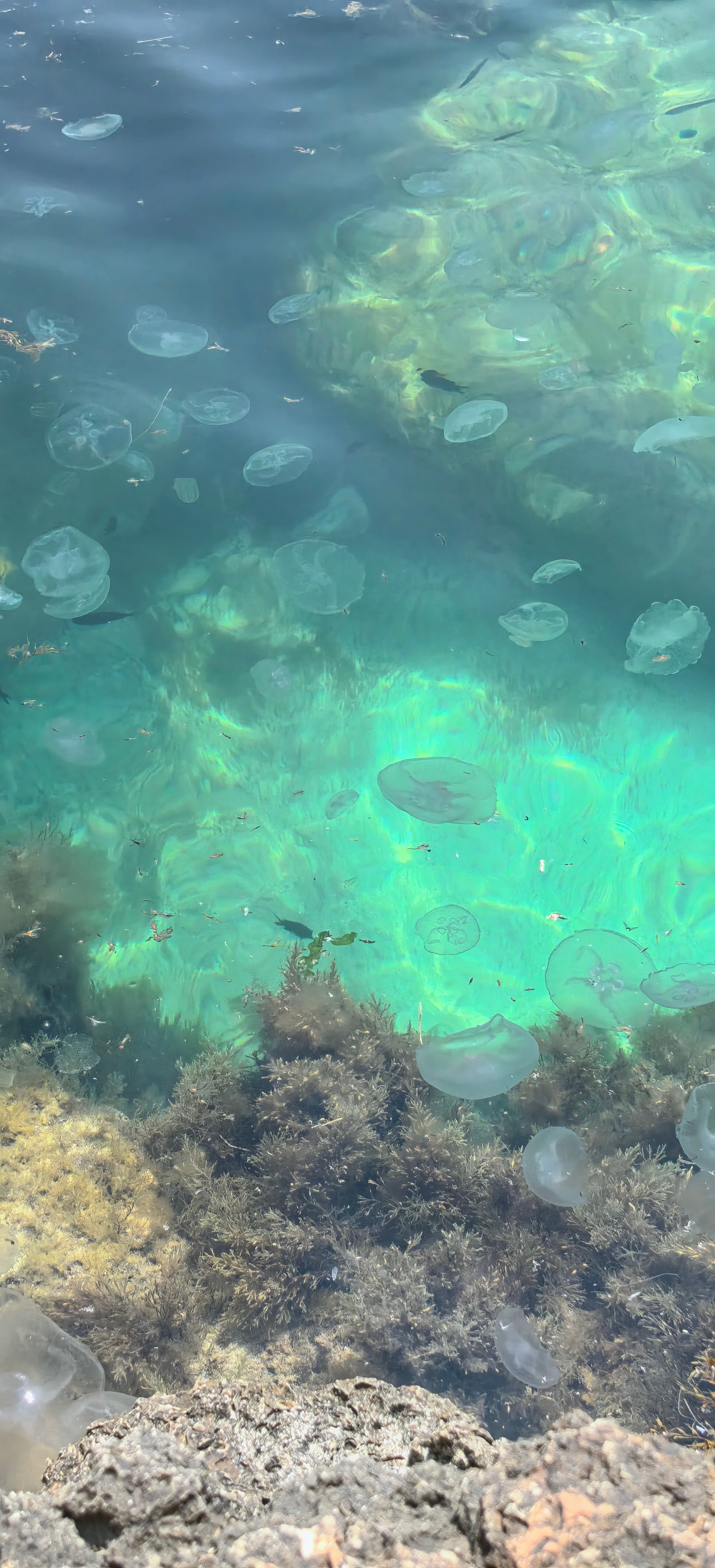 Фото Заморем