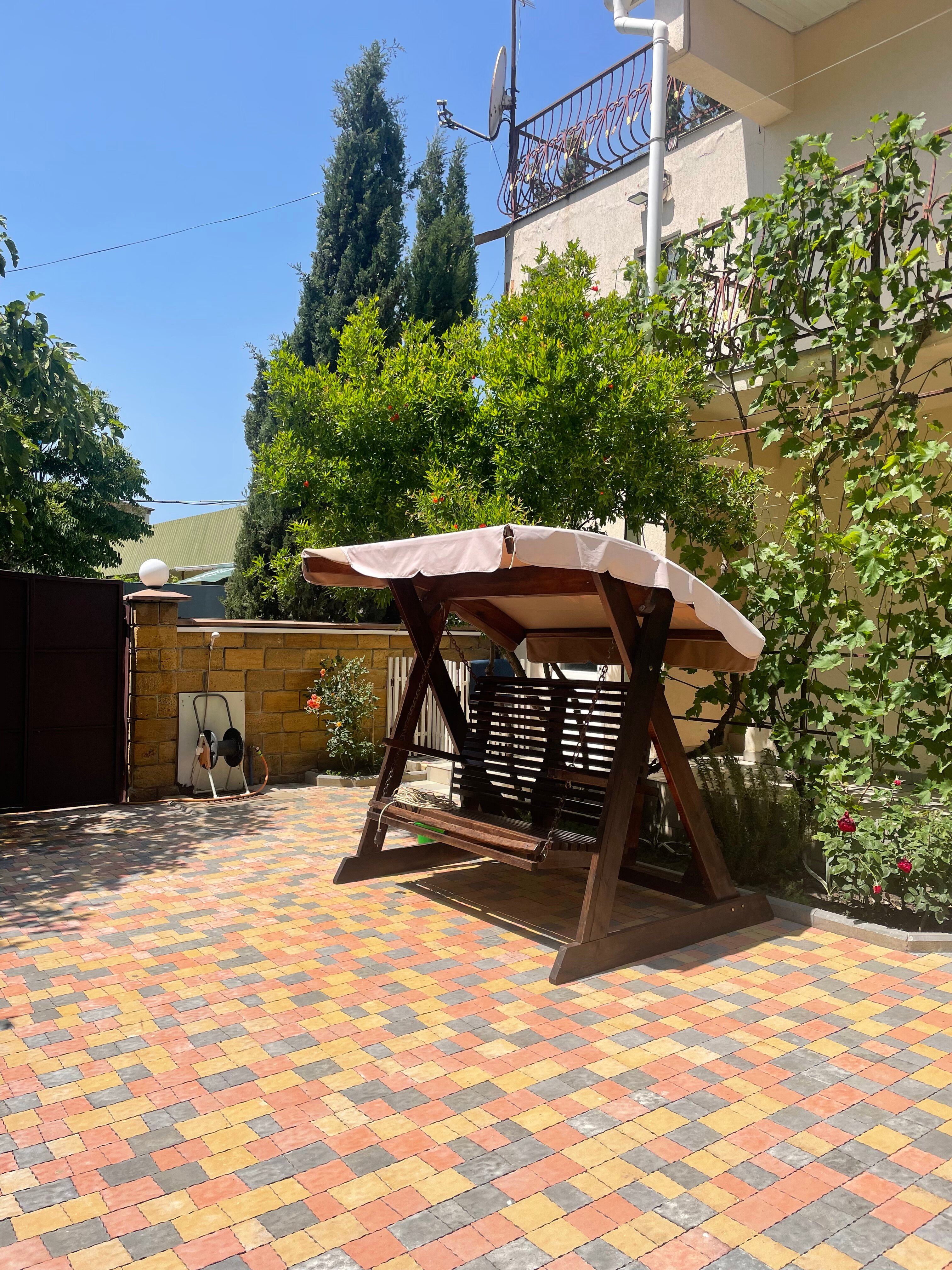 Фото Кипарис