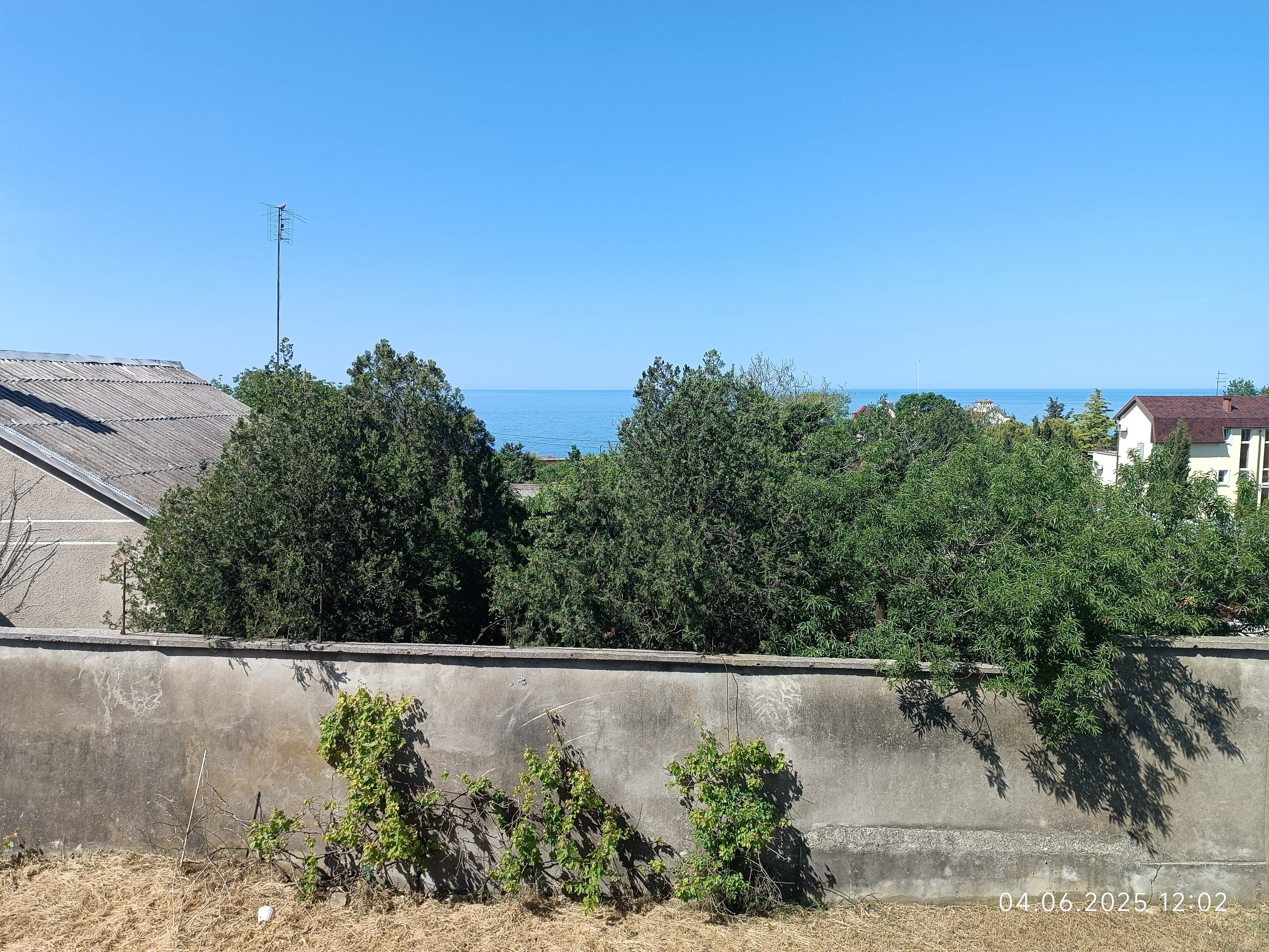 Фото Царское село