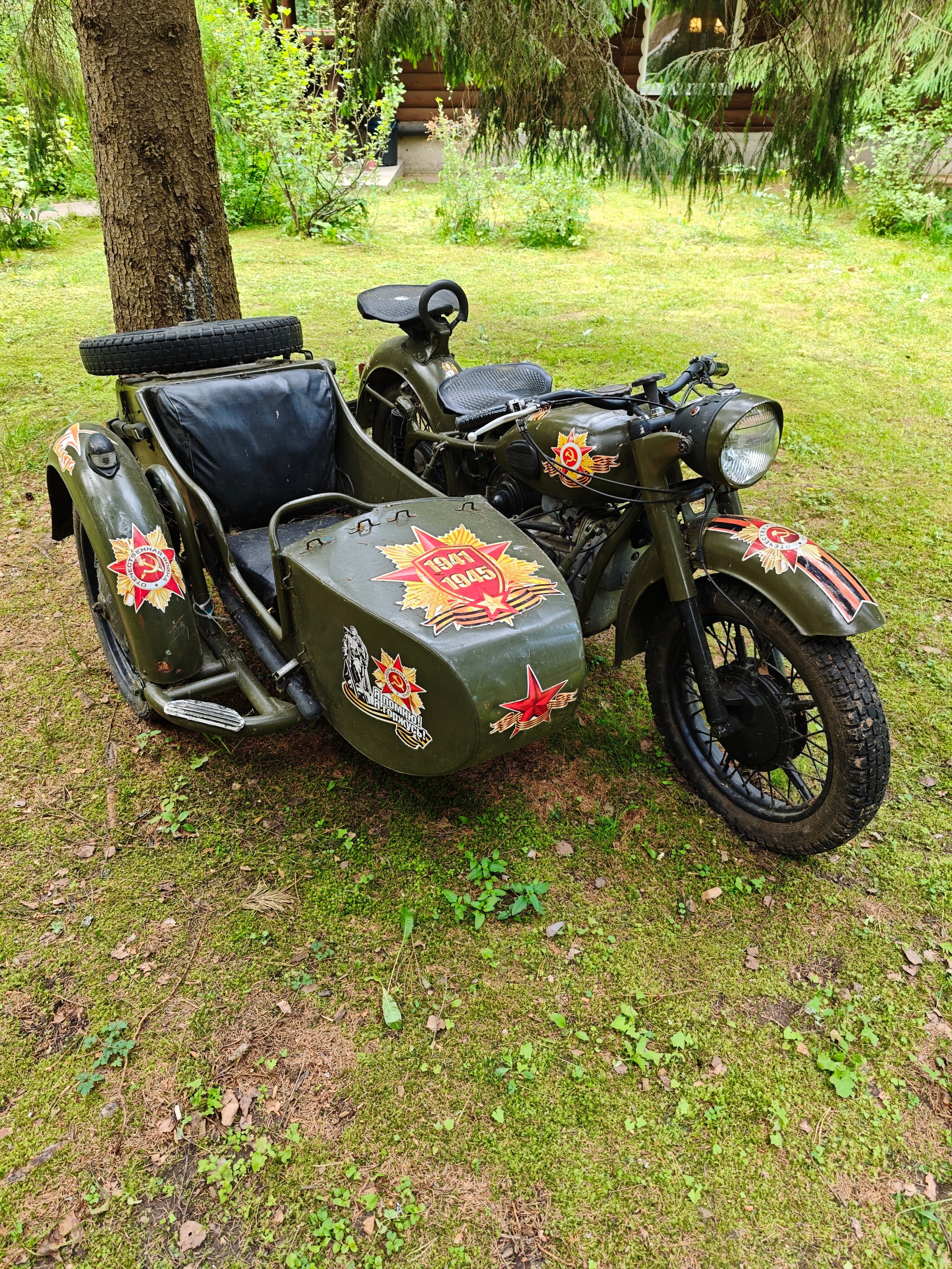 Фото Green forest