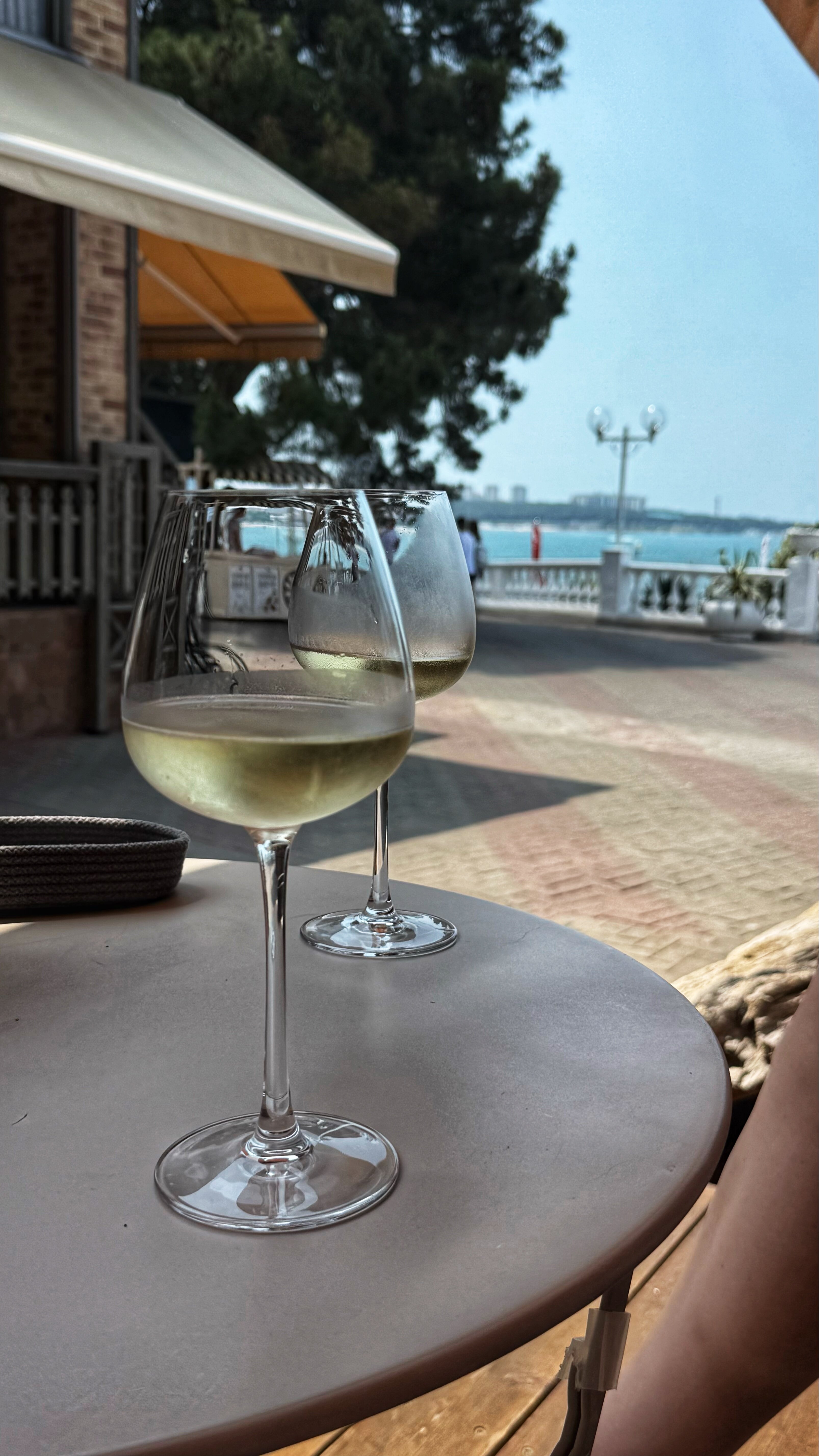 Фото Рони Шелтер