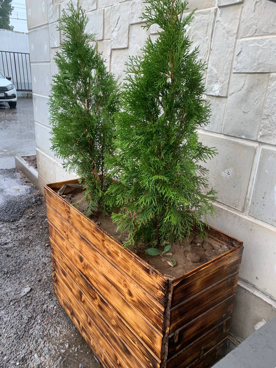 Фото Империал