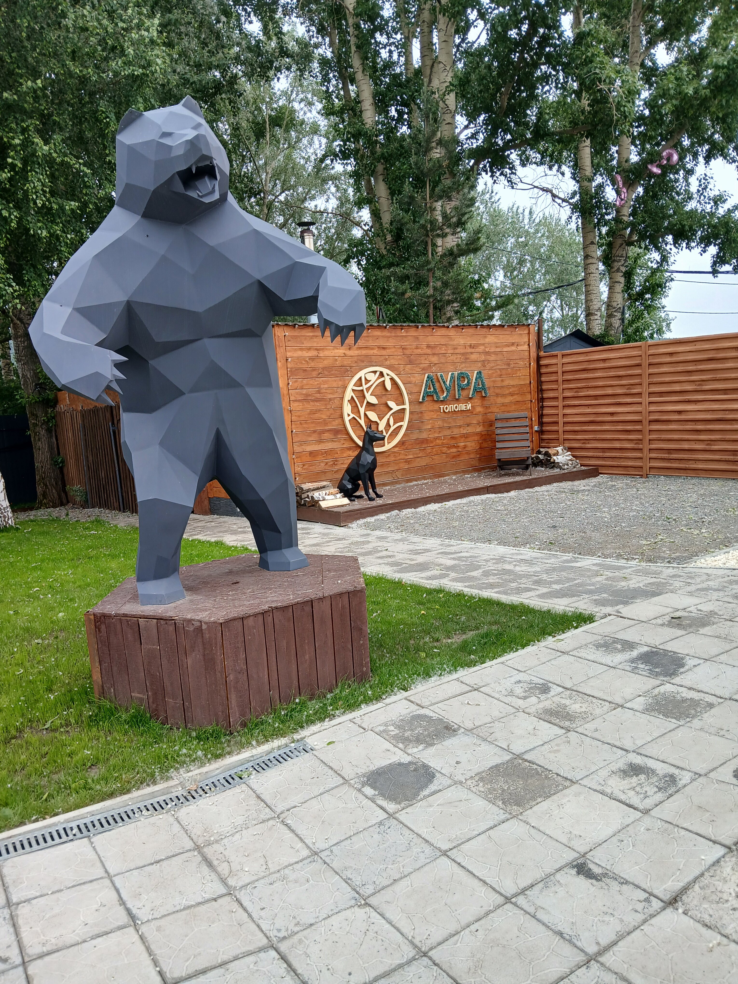 Фото Аура тополей