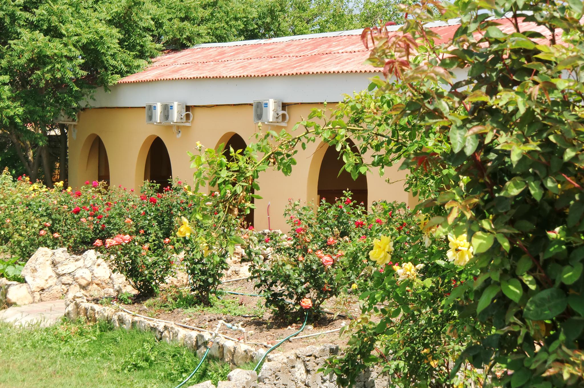 Фото Город-Ок