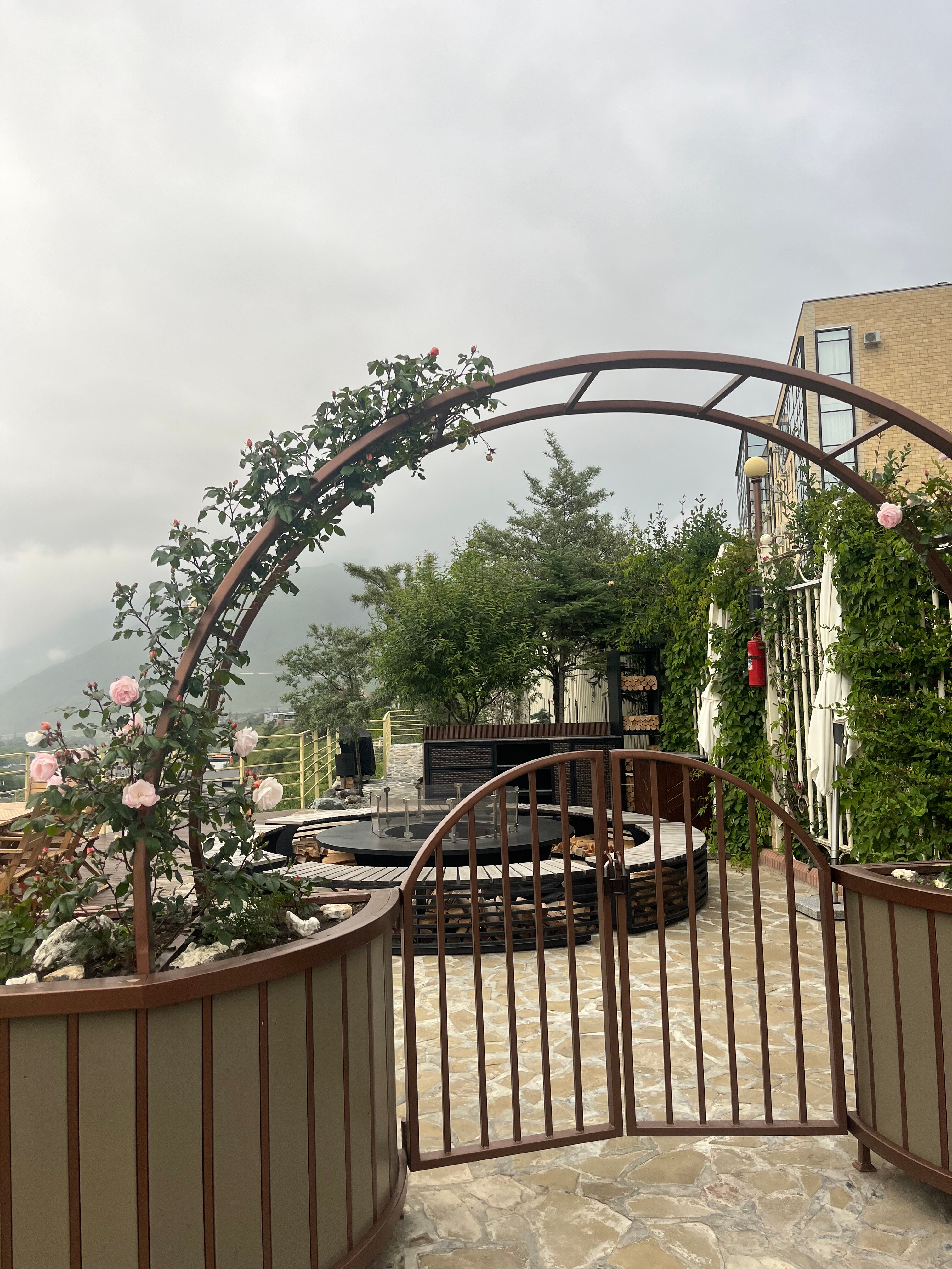 Фото Роза ветров