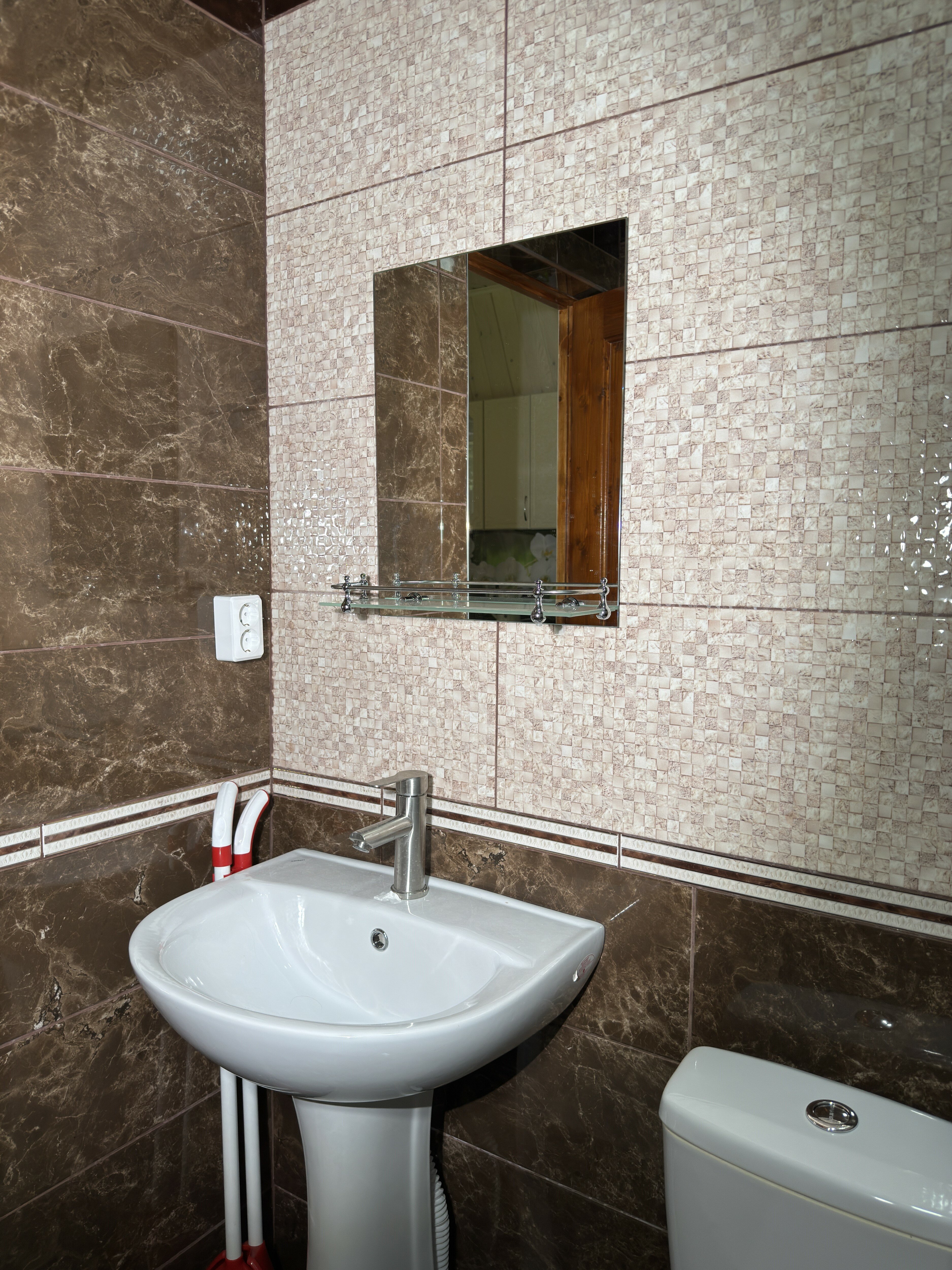 Фото Shelest Lesa