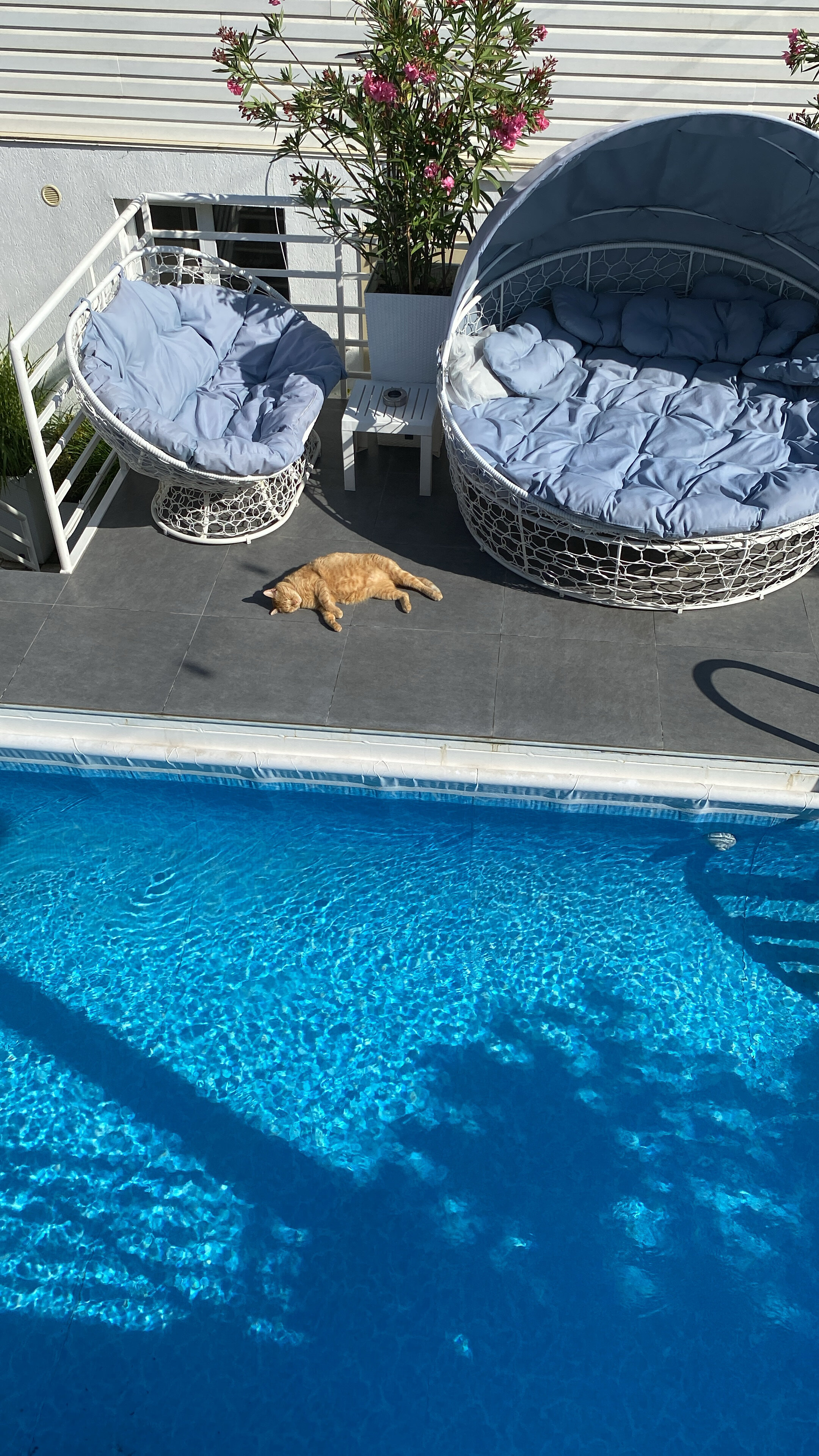 Фото Вечерний город