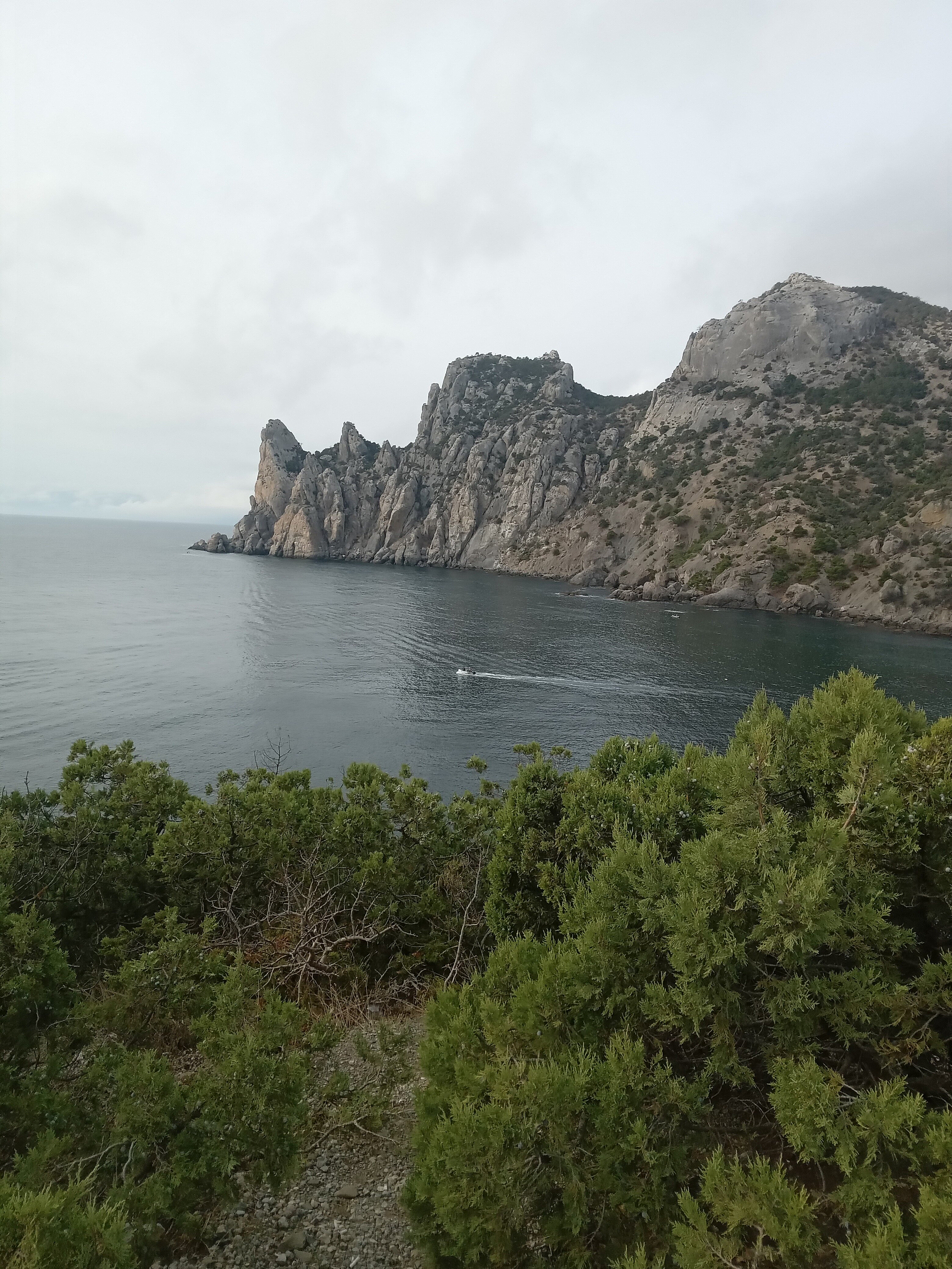 Фото Коралл