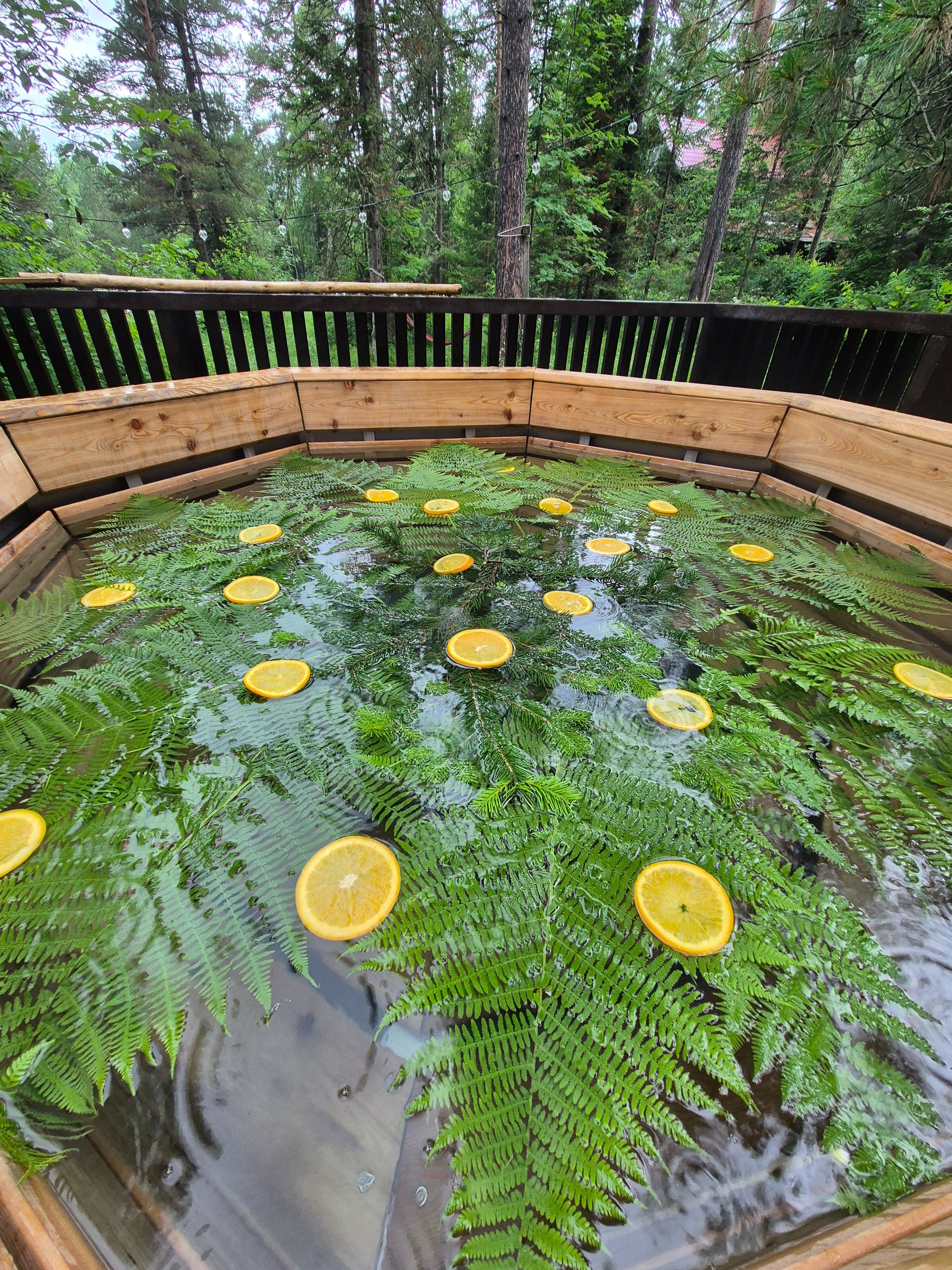 Фото Бия заповедная