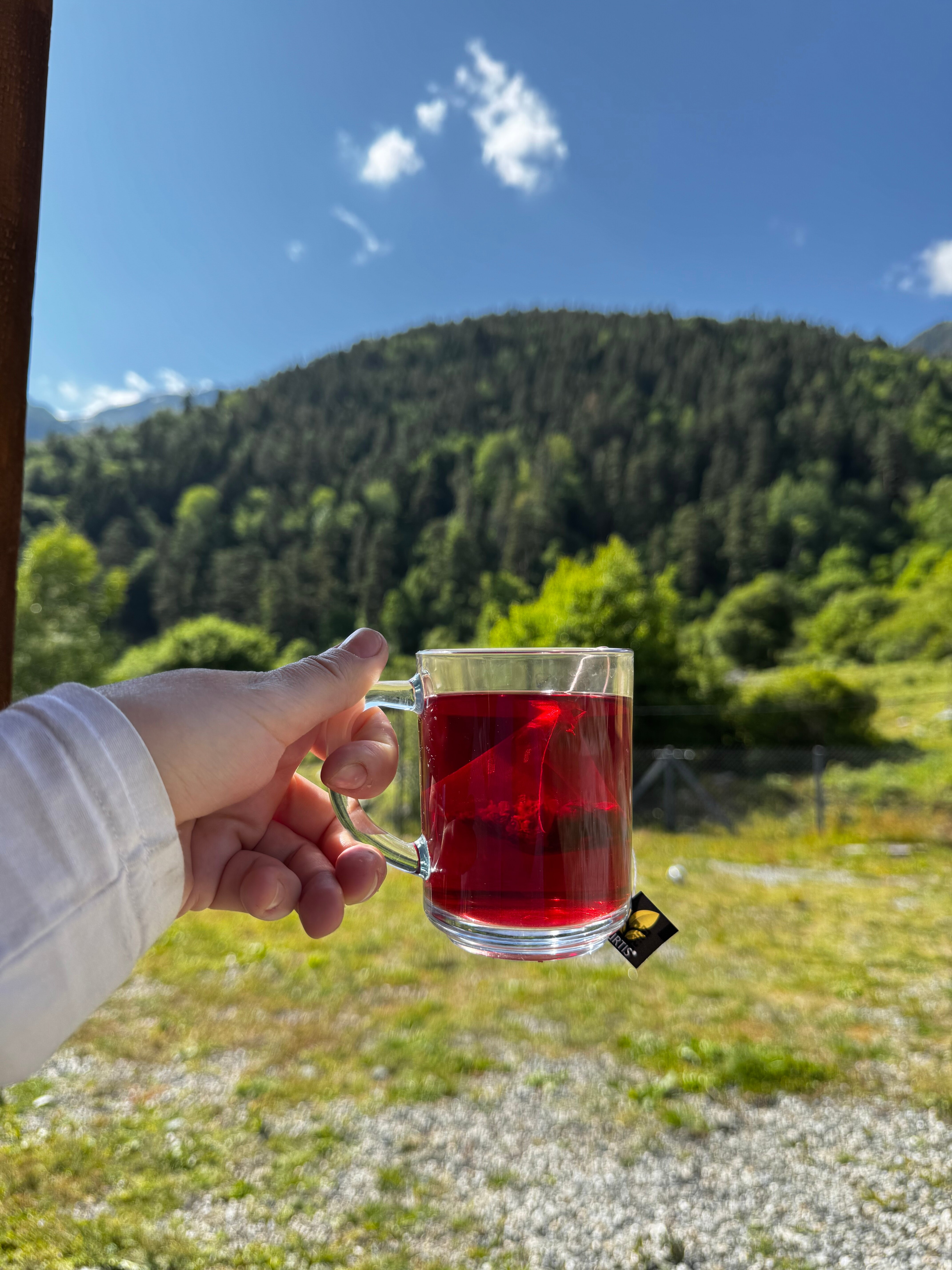 Фото Изумруд Архыз